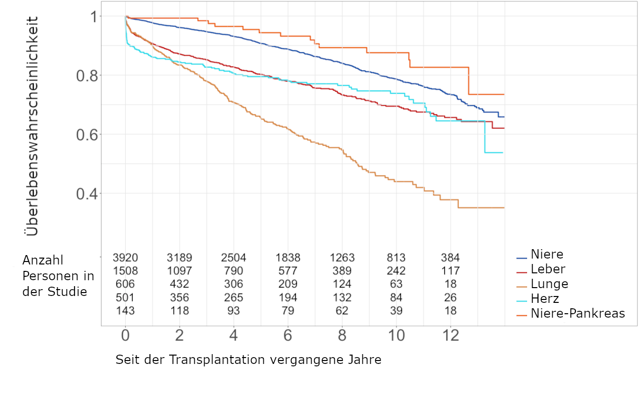 Die Überlebenswahrscheinlichkeit der Organempfängerinnen und -empfänger als Kaplan-Meier-Kurve für die Berichtsperiode Januar 2008 bis Dezember 2018.