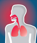 Cartoon of human with red respiratory tract